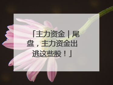 主力资金｜尾盘，主力资金出逃这些股！