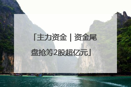 主力资金｜资金尾盘抢筹2股超亿元