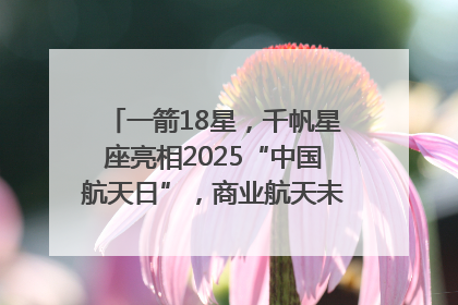 一箭18星，千帆星座亮相2025“中国航天日”，商业航天未来如何改变人类生活？｜海上生明月