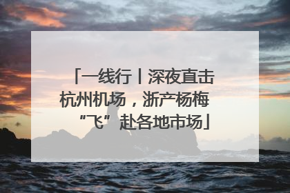 一线行丨深夜直击杭州机场，浙产杨梅“飞”赴各地市场