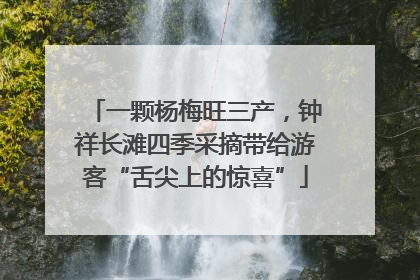 一颗杨梅旺三产，钟祥长滩四季采摘带给游客“舌尖上的惊喜”