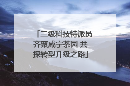 三级科技特派员齐聚咸宁茶园 共探转型升级之路