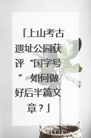 上山考古遗址公园获评“国字号” 如何做好后半篇文章？