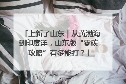 上新了山东｜从黄渤海到印度洋，山东版“零碳攻略”有多能打？