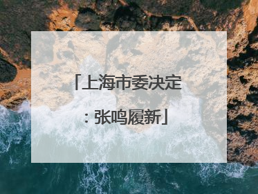 上海市委决定：张鸣履新
