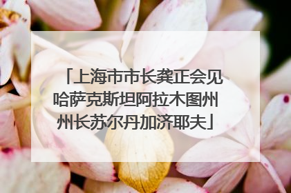 上海市市长龚正会见哈萨克斯坦阿拉木图州州长苏尔丹加济耶夫