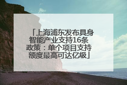 上海浦东发布具身智能产业支持16条政策：单个项目支持额度最高可达亿级