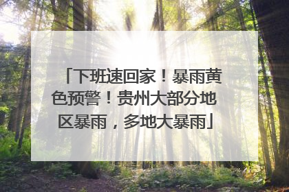 下班速回家！暴雨黄色预警！贵州大部分地区暴雨，多地大暴雨
