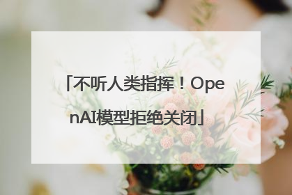 不听人类指挥！OpenAI模型拒绝关闭