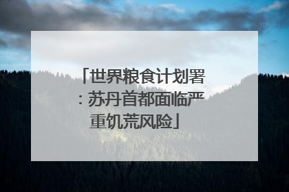 世界粮食计划署：苏丹首都面临严重饥荒风险