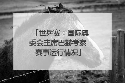 世乒赛：国际奥委会主席巴赫考察赛事运行情况