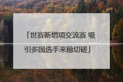 世赛新增项交流赛 吸引多国选手来穗切磋