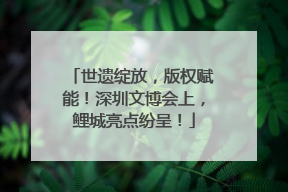 世遗绽放，版权赋能！深圳文博会上，鲤城亮点纷呈！