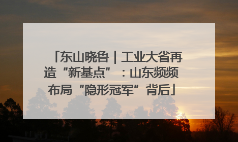 东山晓鲁｜工业大省再造“新基点”：山东频频布局“隐形冠军”背后