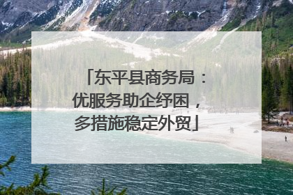 东平县商务局：优服务助企纾困，多措施稳定外贸