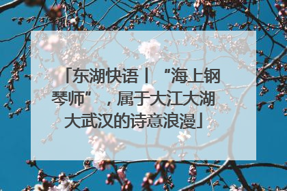 东湖快语丨“海上钢琴师”，属于大江大湖大武汉的诗意浪漫
