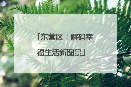 东营区：解码幸福生活新图景