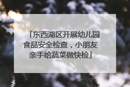东西湖区开展幼儿园食品安全检查，小朋友亲手给蔬菜做快检