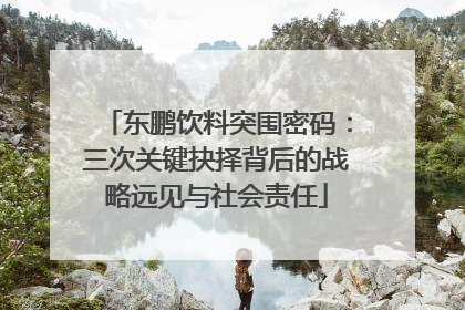 东鹏饮料突围密码：三次关键抉择背后的战略远见与社会责任