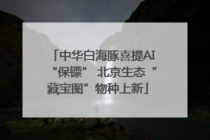 中华白海豚喜提AI“保镖” 北京生态“藏宝图”物种上新
