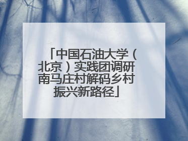 中国石油大学（北京）实践团调研南马庄村解码乡村振兴新路径
