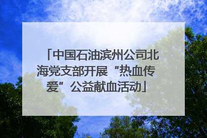 中国石油滨州公司北海党支部开展“热血传爱”公益献血活动