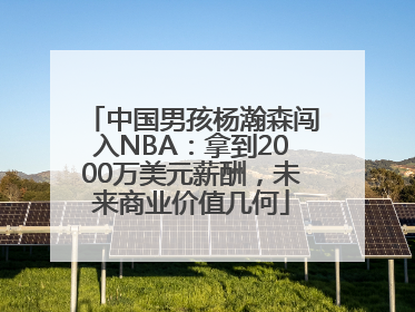 中国男孩杨瀚森闯入NBA：拿到2000万美元薪酬，未来商业价值几何