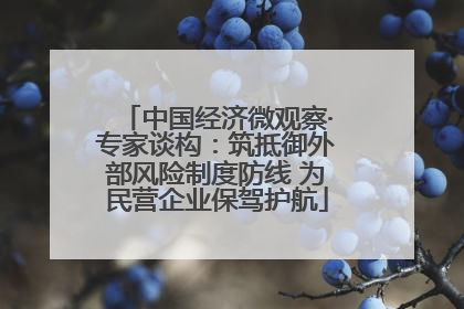 中国经济微观察·专家谈构：筑抵御外部风险制度防线 为民营企业保驾护航