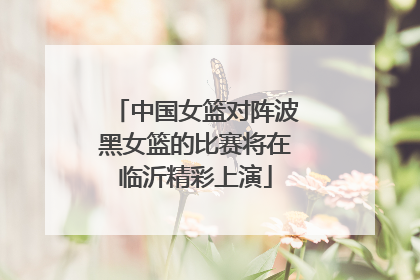中国女篮对阵波黑女篮的比赛将在临沂精彩上演