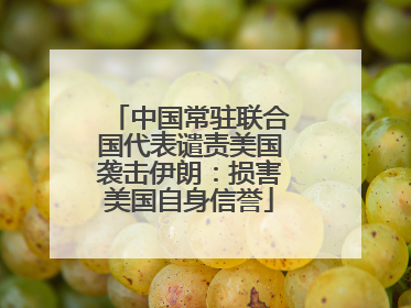 中国常驻联合国代表谴责美国袭击伊朗：损害美国自身信誉