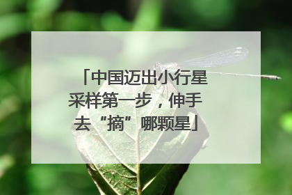 中国迈出小行星采样第一步，伸手去“摘”哪颗星