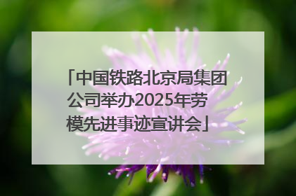 中国铁路北京局集团公司举办2025年劳模先进事迹宣讲会