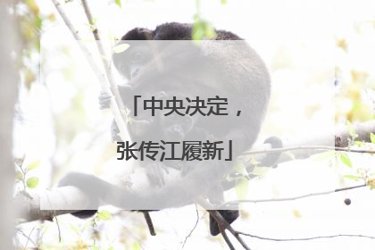 中央决定，张传江履新