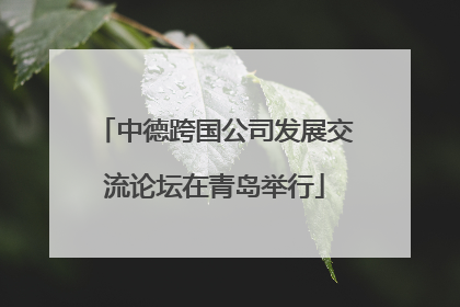 中德跨国公司发展交流论坛在青岛举行
