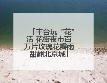 丰台玩“花”活 花街夜市百万片玫瑰花瓣雨甜翻北京城