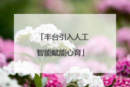 丰台引入人工智能赋能心育