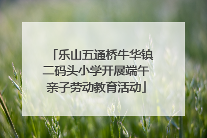 乐山五通桥牛华镇二码头小学开展端午亲子劳动教育活动