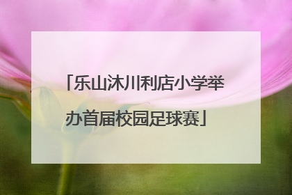乐山沐川利店小学举办首届校园足球赛