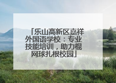 乐山高新区嘉祥外国语学校：专业技能培训，助力棍网球扎根校园