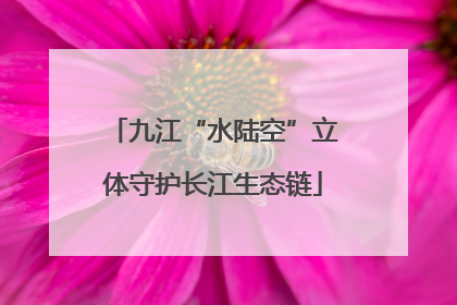 九江“水陆空”立体守护长江生态链