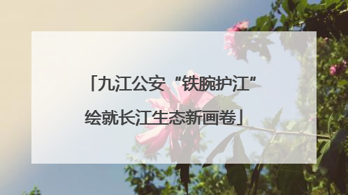 九江公安“铁腕护江”绘就长江生态新画卷