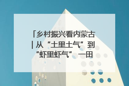 乡村振兴看内蒙古｜从“土里土气”到“虾里虾气” 一田双收模式火出圈