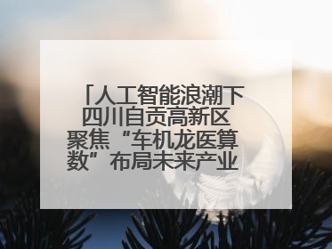 人工智能浪潮下 四川自贡高新区聚焦“车机龙医算数”布局未来产业丨美好生活有“盐”味