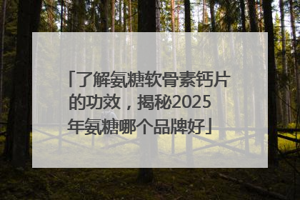 了解氨糖软骨素钙片的功效，揭秘2025年氨糖哪个品牌好