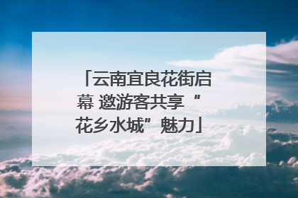 云南宜良花街启幕 邀游客共享“花乡水城”魅力