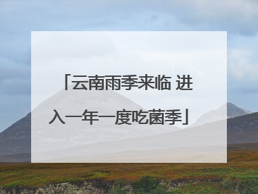 云南雨季来临 进入一年一度吃菌季