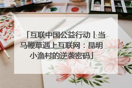 互联中国公益行动丨当马鞭草遇上互联网：昆明小渔村的逆袭密码