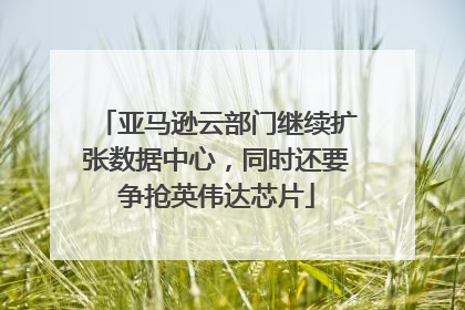 亚马逊云部门继续扩张数据中心，同时还要争抢英伟达芯片
