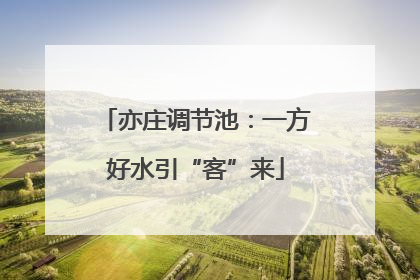 亦庄调节池：一方好水引“客”来