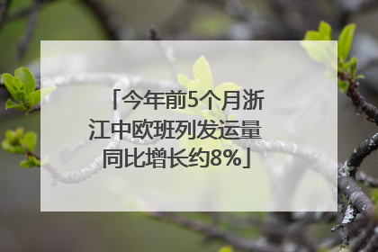 今年前5个月浙江中欧班列发运量同比增长约8%